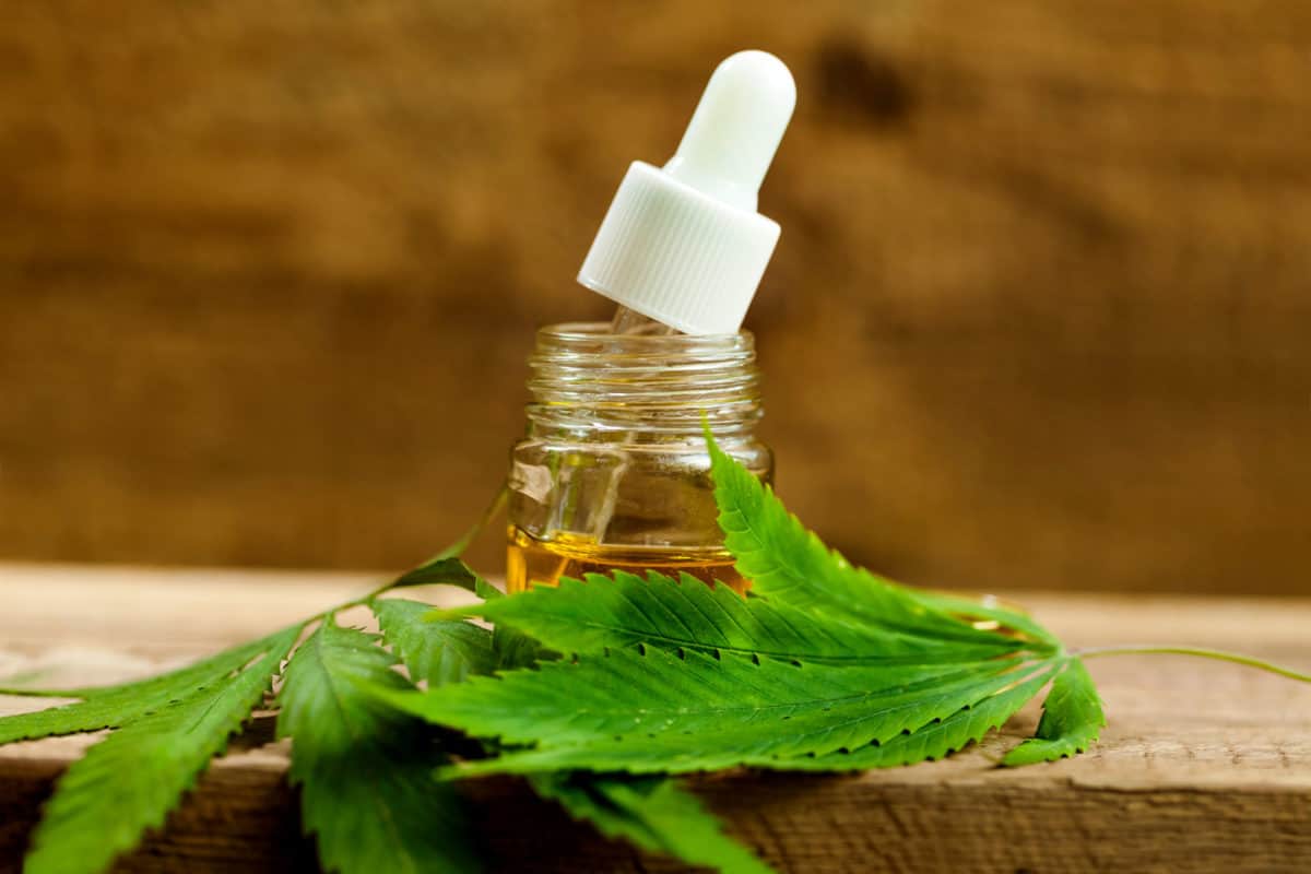 CBD oil o olio di cannabis