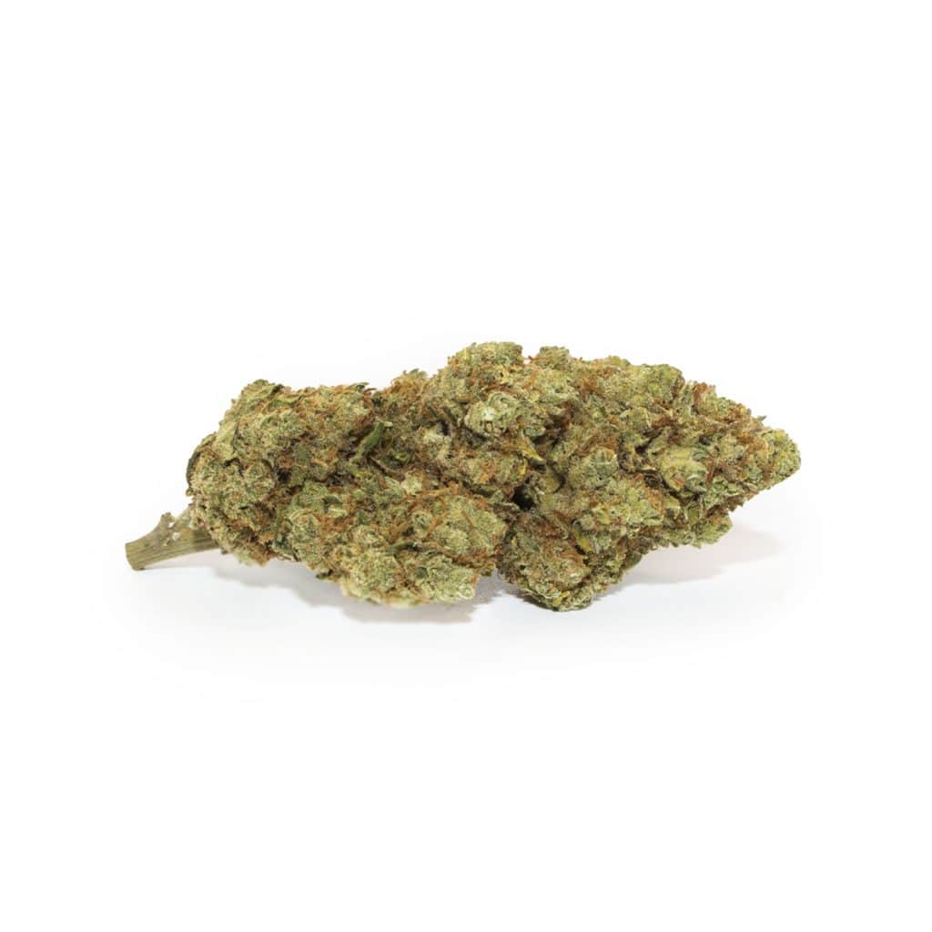 amnesia cannabis light