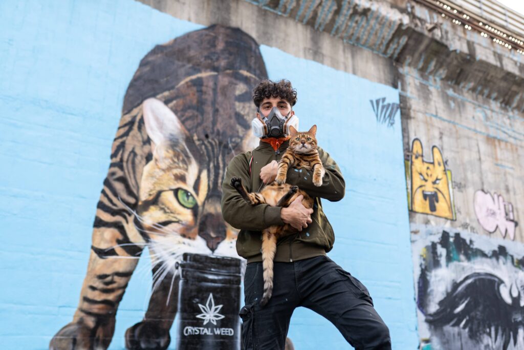 gatto crystalweed murales 1 cos'è il THC