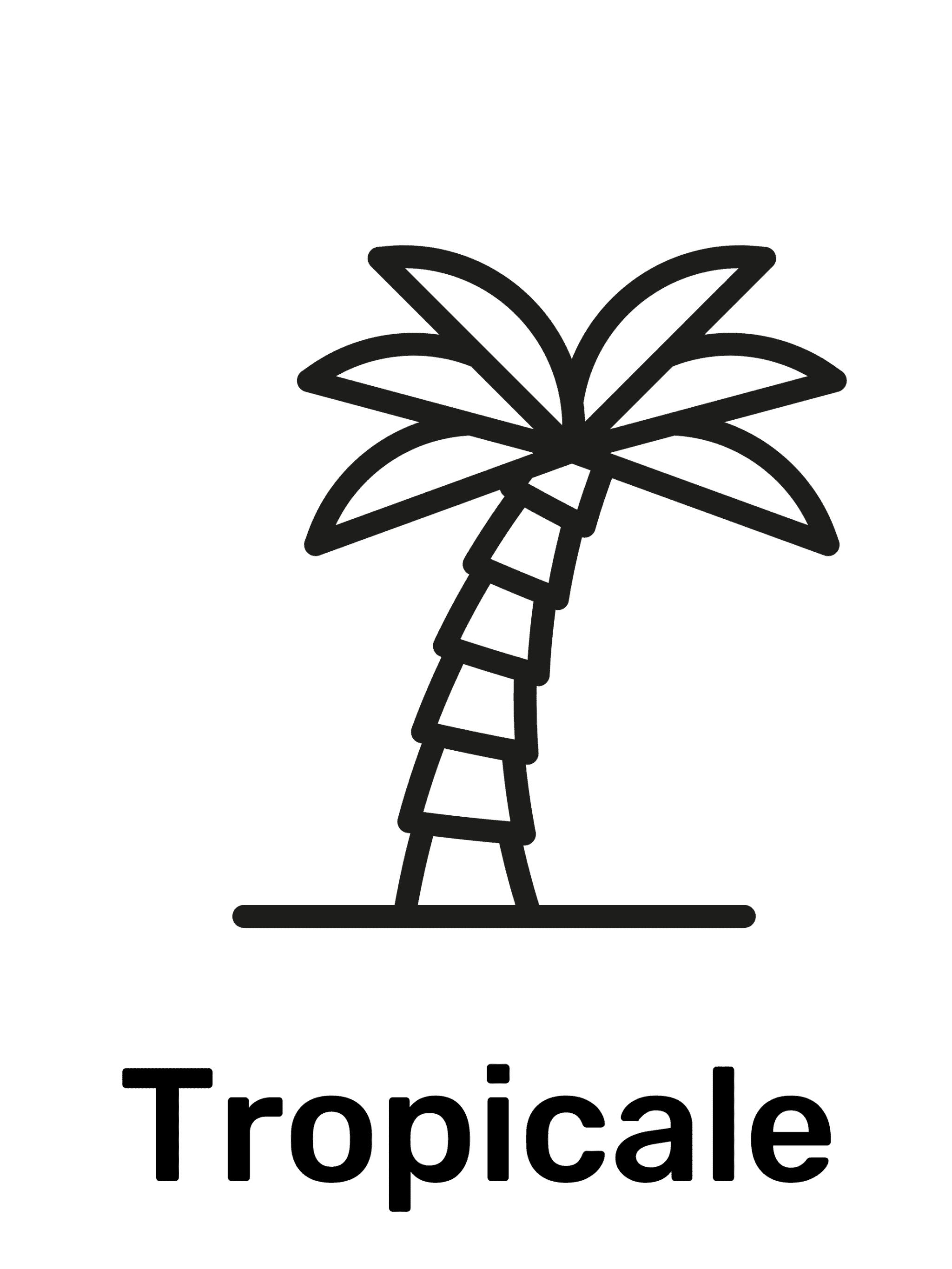 tropical fragranza erba light