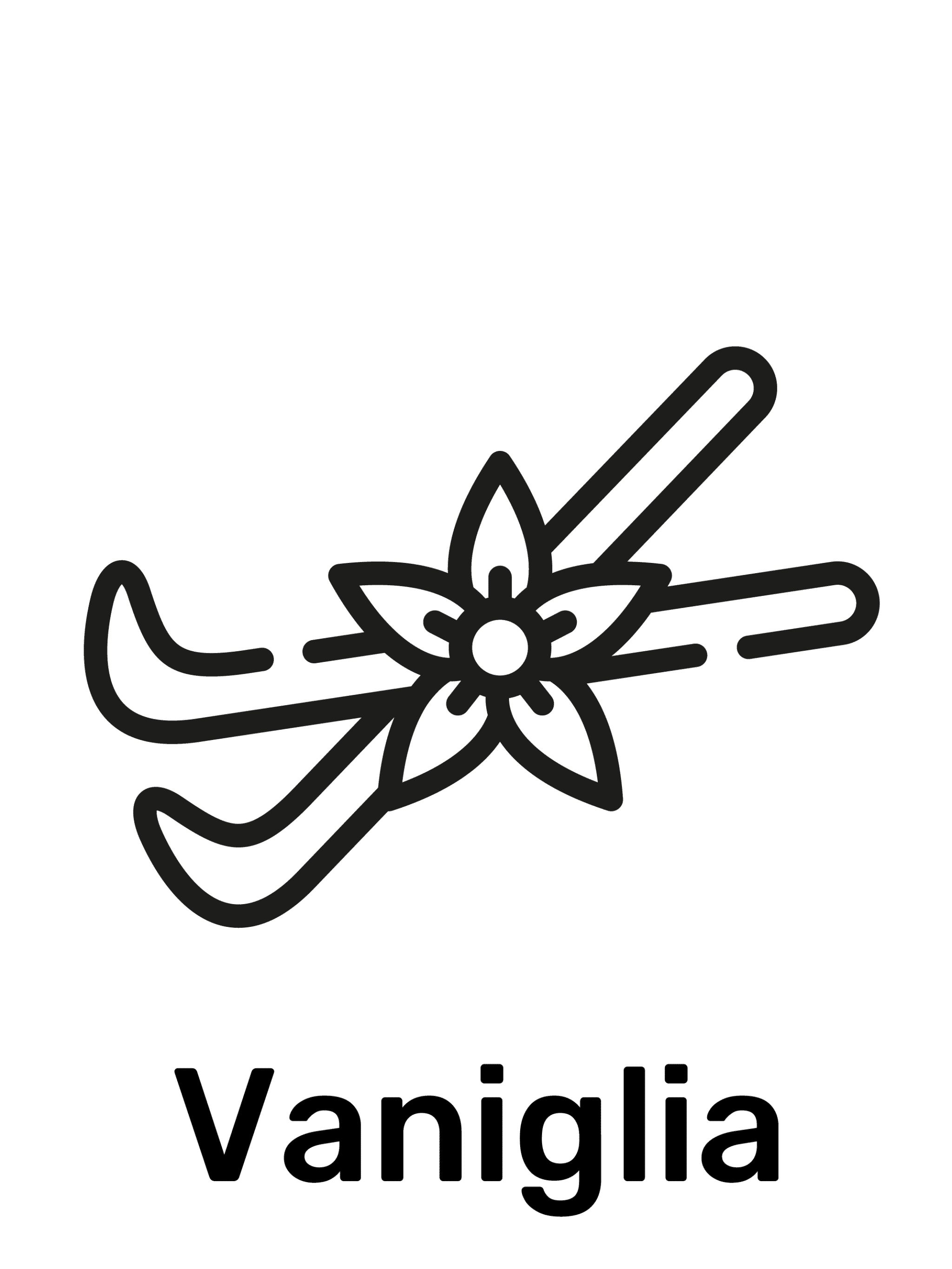 vaniglia fragranza erba light