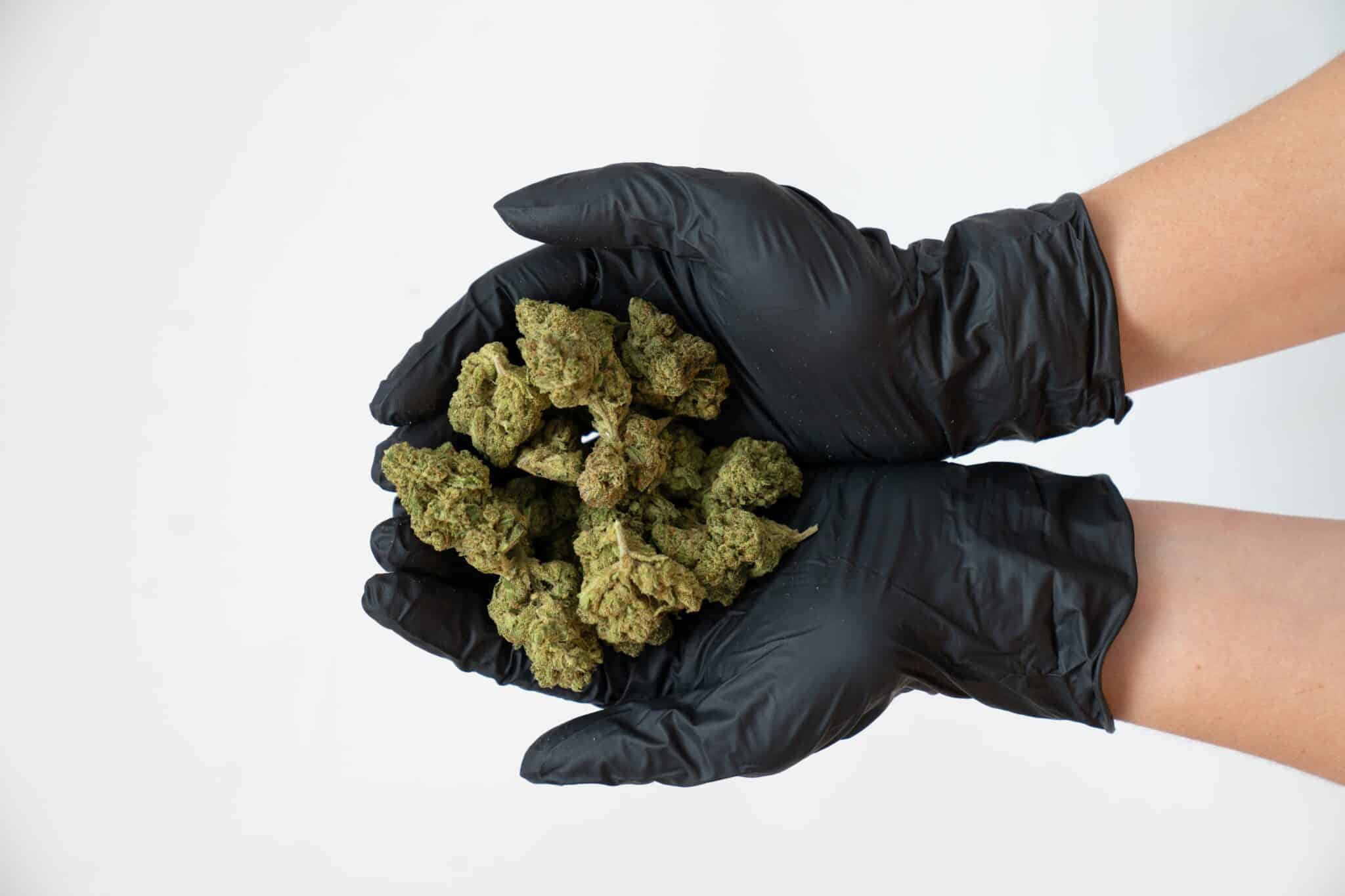 CBD in Italia Crystalweed