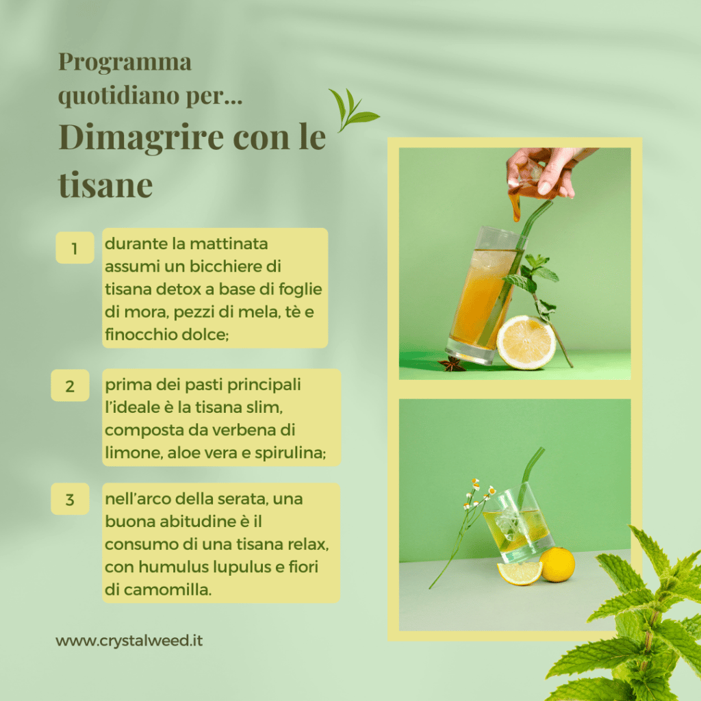 programma quotidiano per dimagrire con le tisane