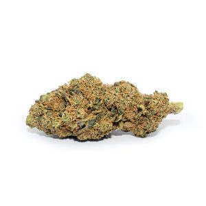 gorilla cannabis light 1 Gorilla cannabis light