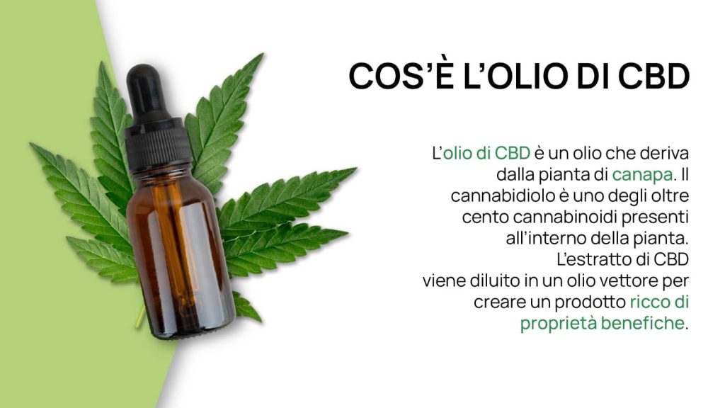 olio di CBD cos'è