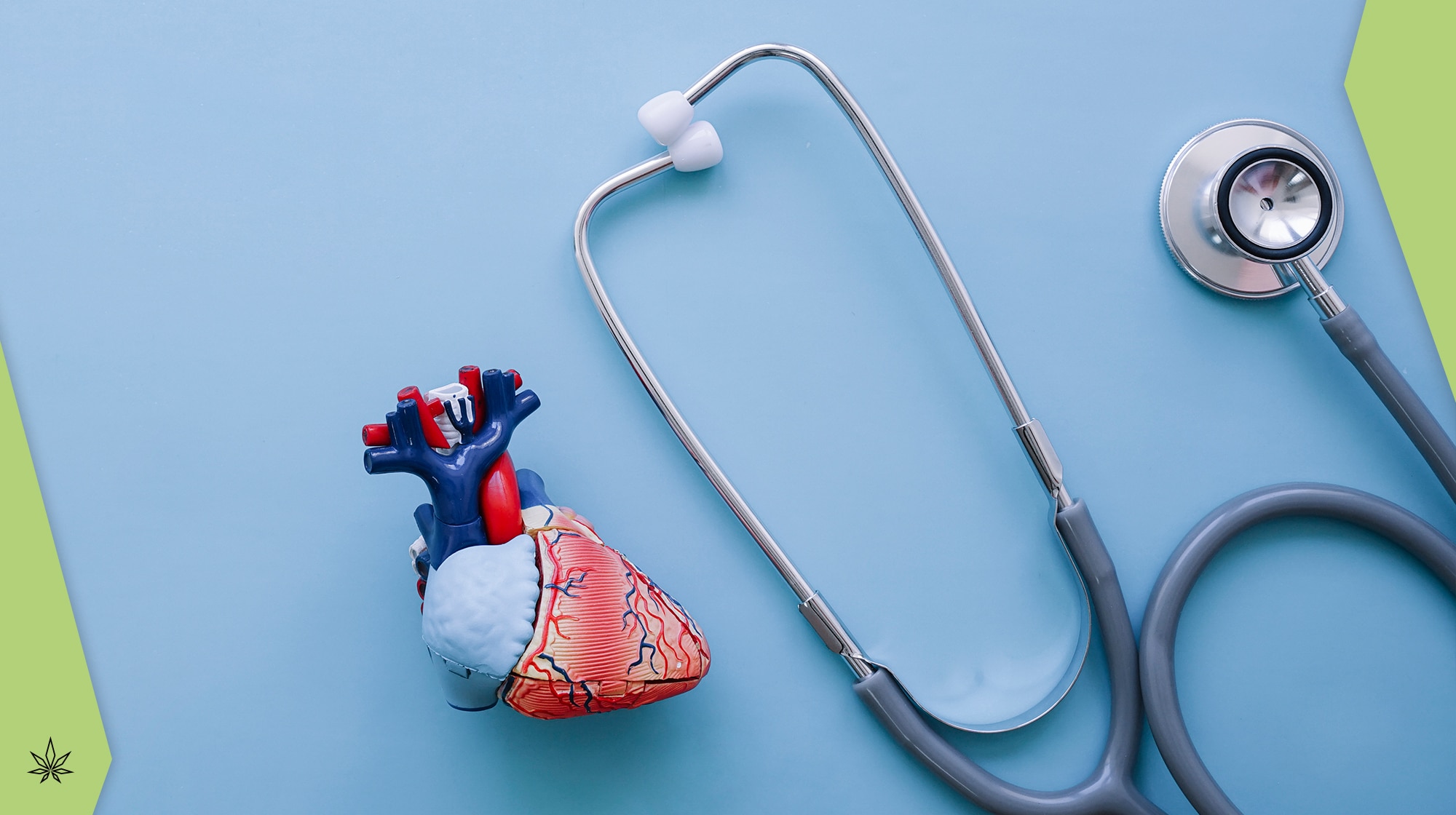 CBD effetti sul cuore