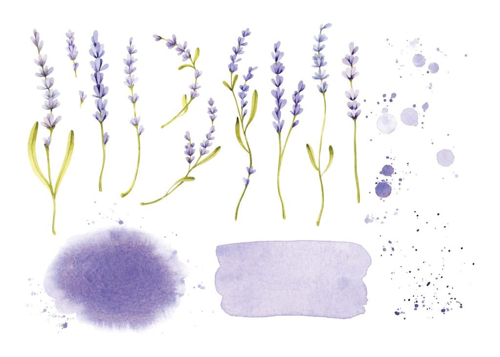 glicina foto gocce naturali di Glicina per dormire