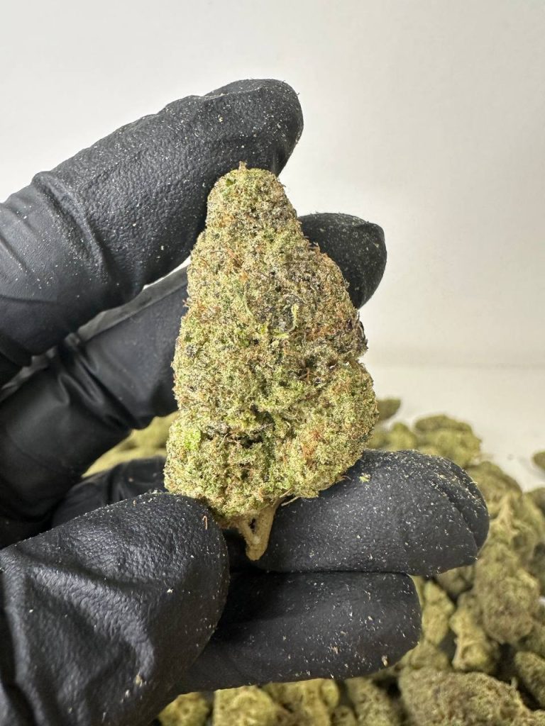 mac cannabis light video