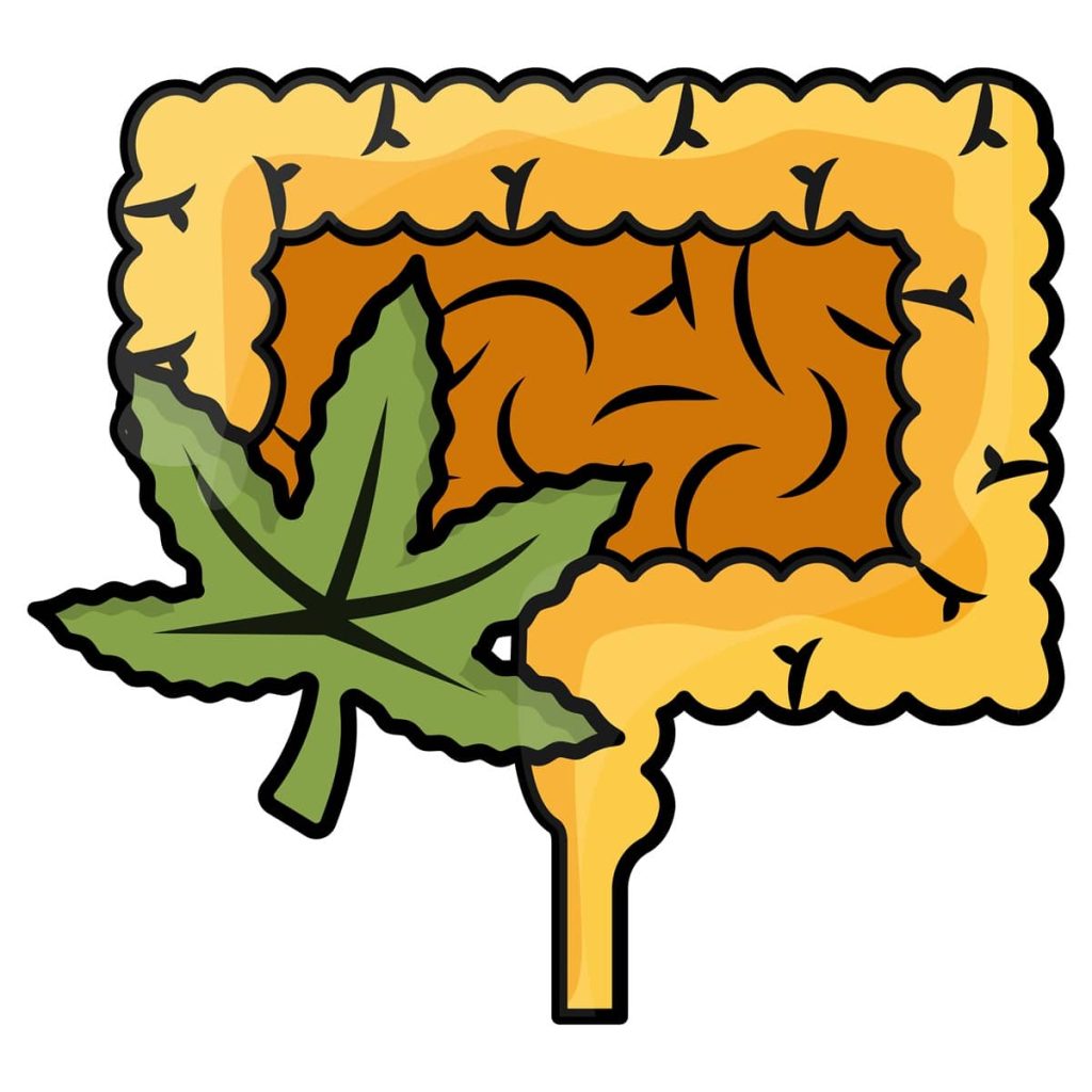 recettori cb2 1 1 recettori CB2