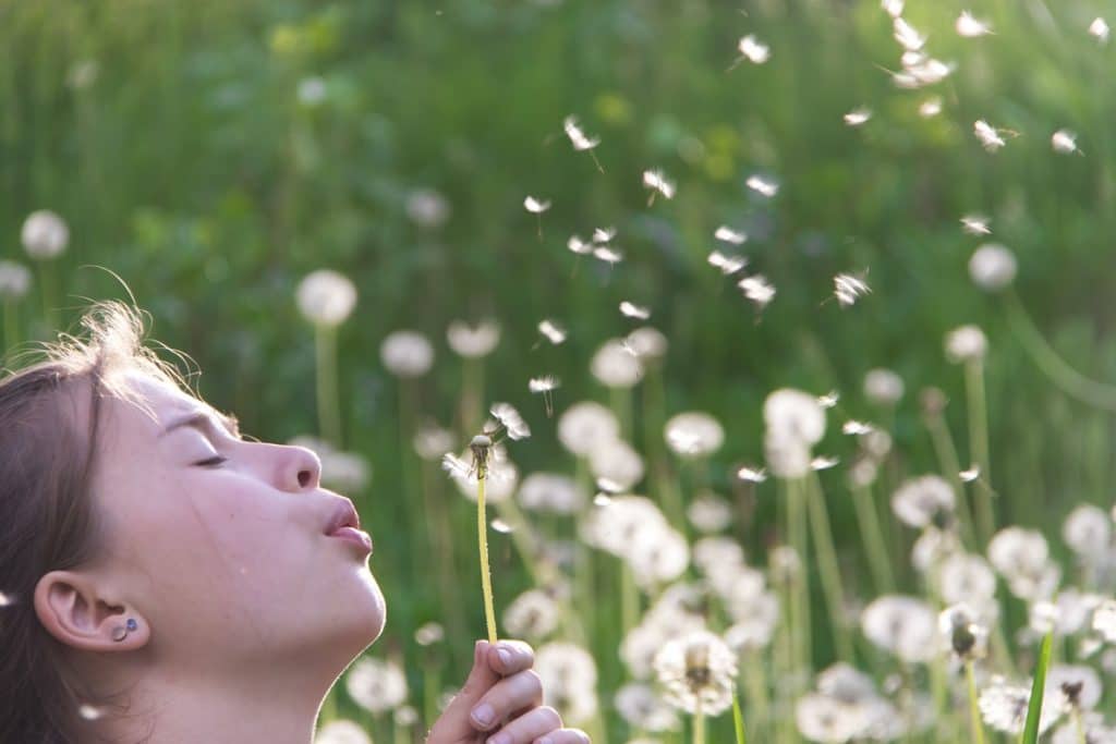 aria fresca relax aira fresca aiuta a stare tranquilli