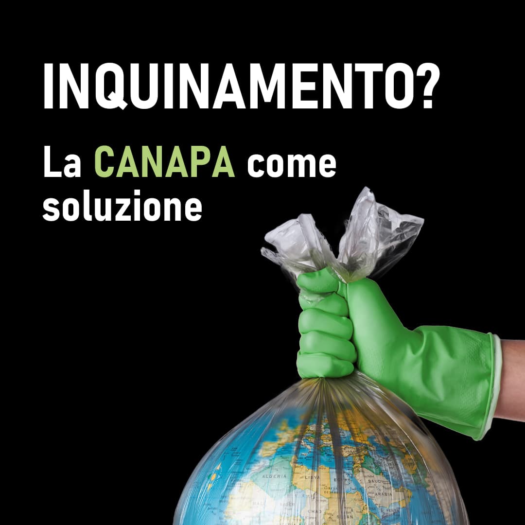 Inquinamento? La canapa come soluzione