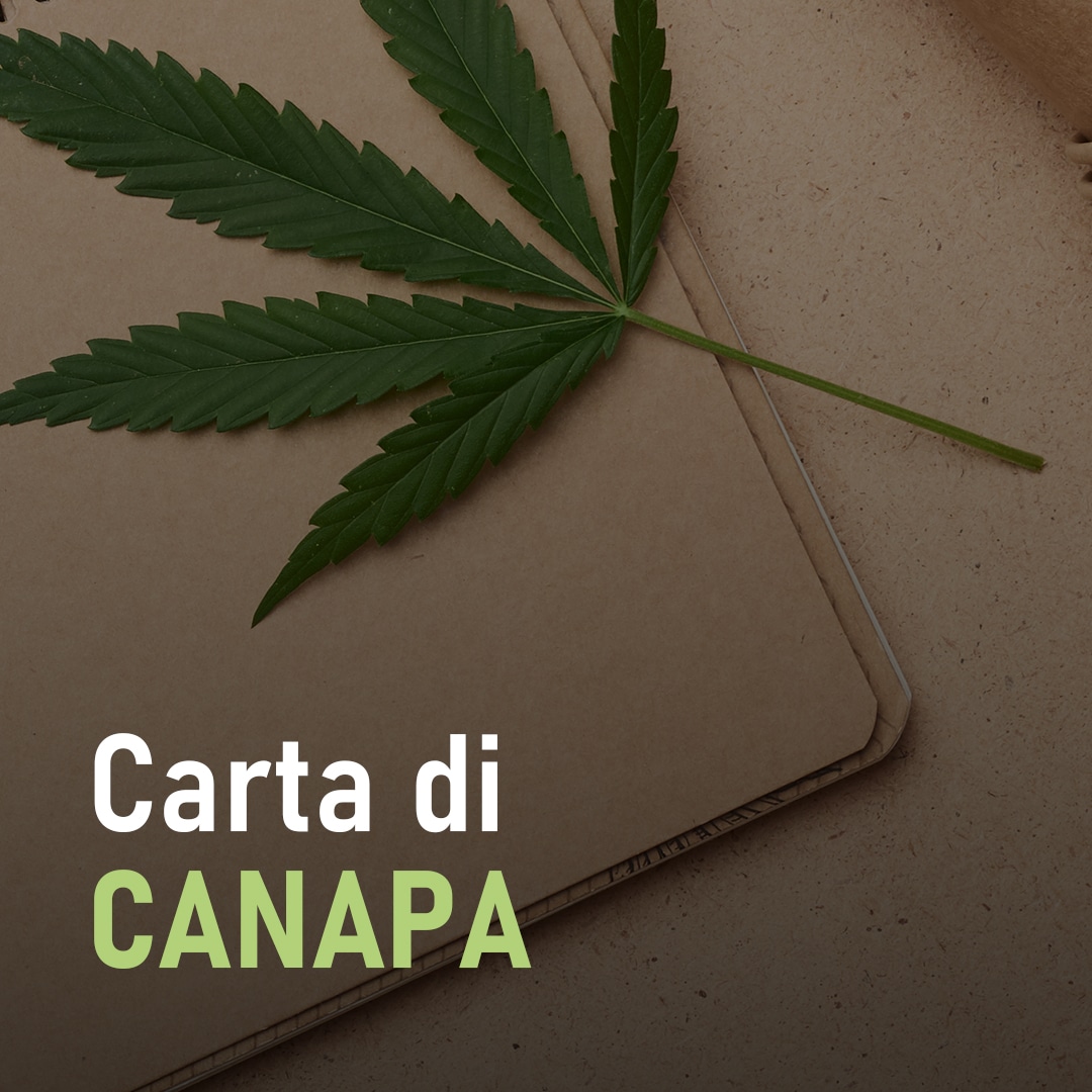 Carta di canapa