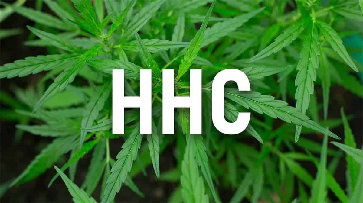 HHC
