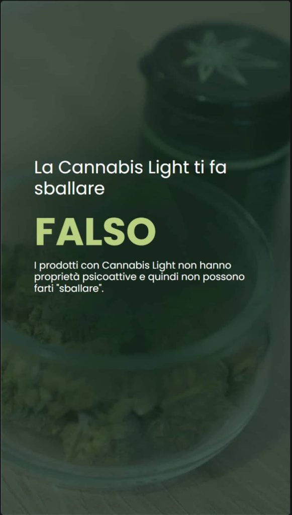 Infografica che risponde alla domanda: la cannabis light ti fa sballare? Spiega che i prodotti a base di Cannabis Light non hanno proprietà psicoattive e quindi non provocano effetti di alterazione.