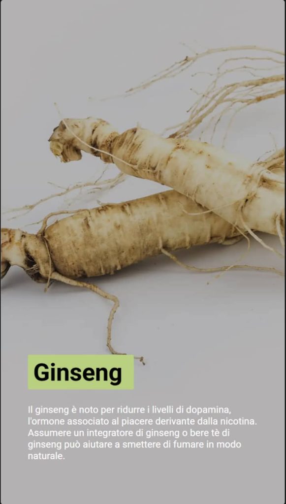 Migliori rimedi naturali per smettere di fumare 2 Foto di una pianta di ginseng. Il testo spiega che il ginseng riduce i livelli di dopamina ed aiuta a smettere di fumare.