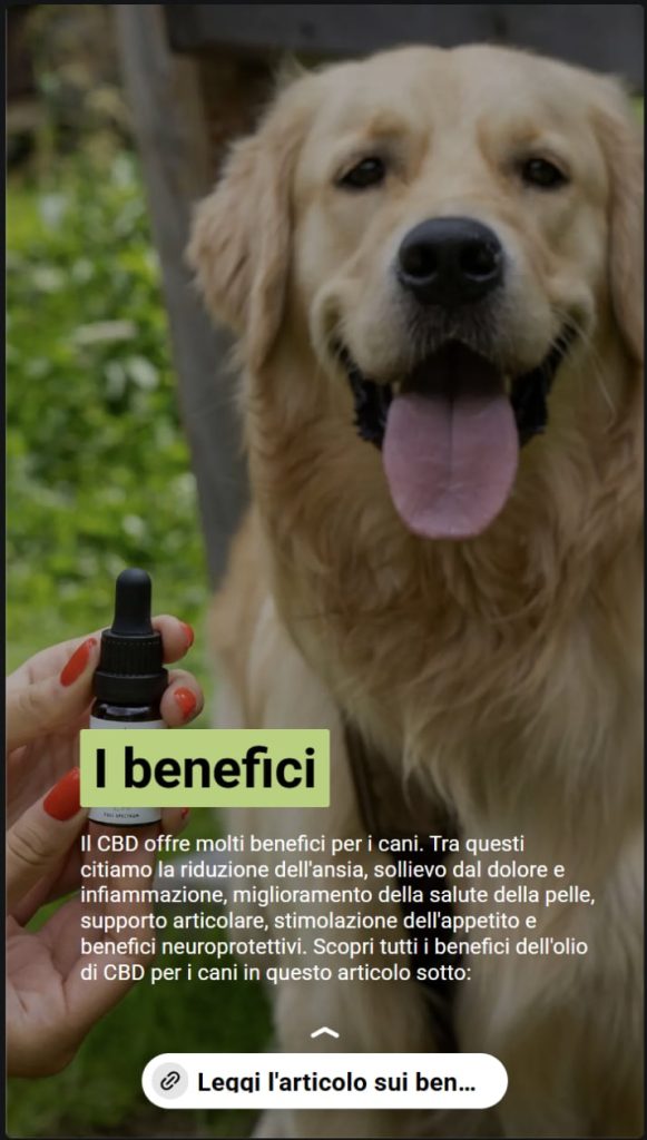 Foto di un cane che guarda sorridente la fotocamera mentre una mano tiene un flacone di olio di CBD. Il testo descrive i benefici del CBD per i cani, tra cui riduzione dell'ansia, sollievo dal dolore. supporto articolare, aumento dell'appetito e pelle migliorata.
