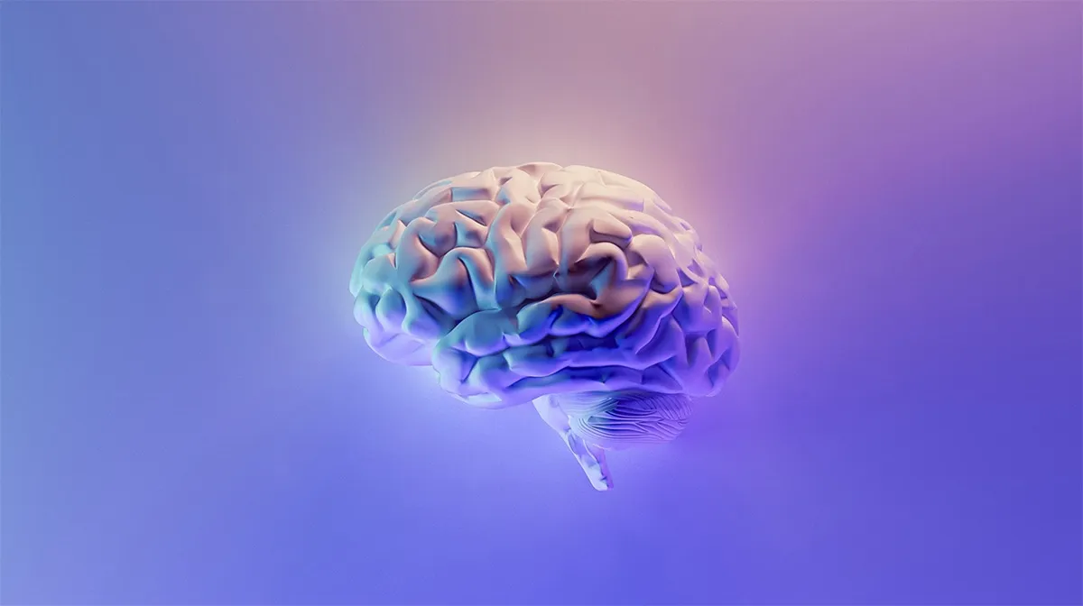 i benefici del cbd sul cervello