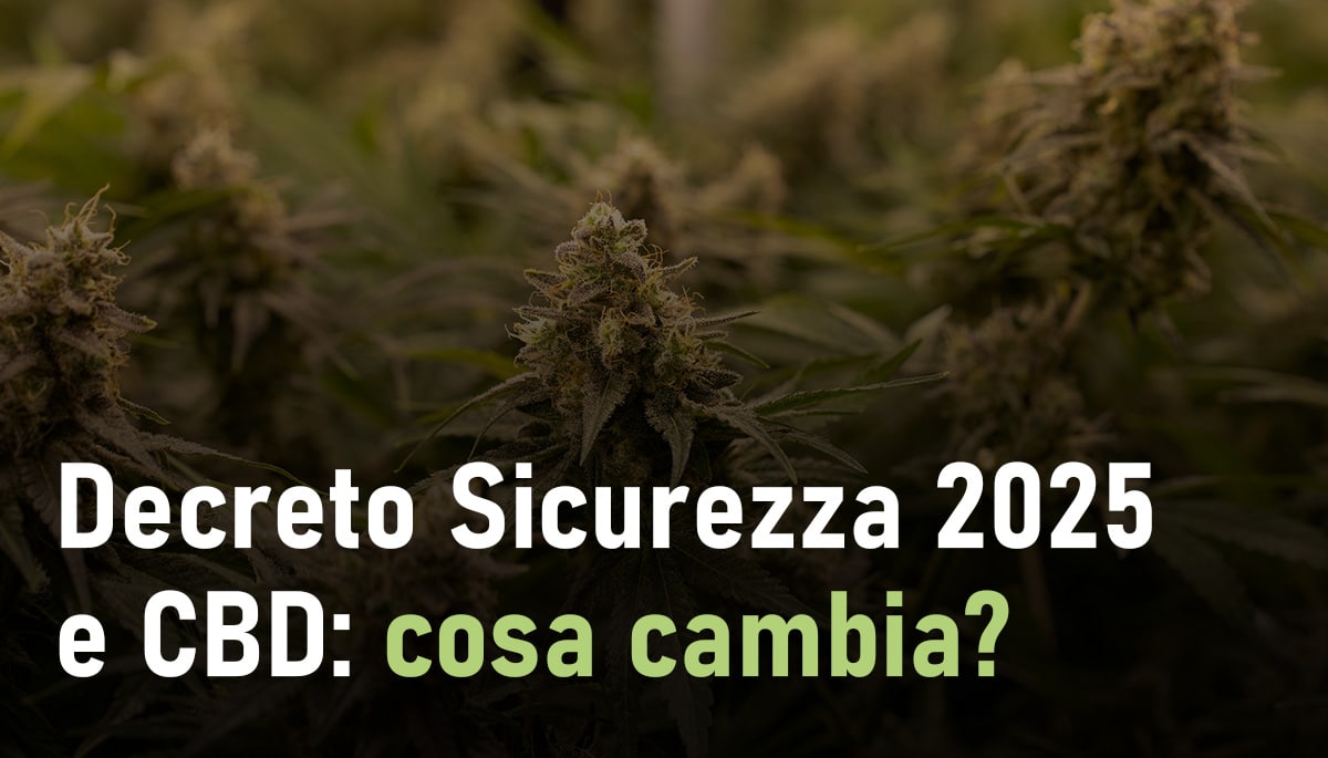 Decreto sicurezza CBD